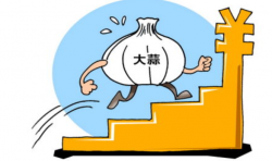 怎樣利用大蒜冷庫進(jìn)行保鮮？